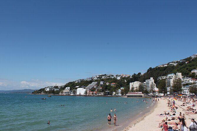 Wellington Scenic Full Day Tour - Wellington Cable Car and Lady Norwood Rose Garden: two “easy wins”