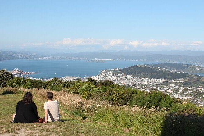 Wellington Scenic Full Day Tour - Weta Cave and Weta Workshop: movie magic with a clear boundary