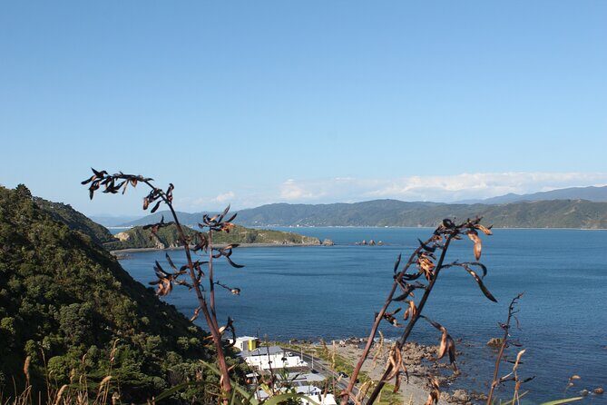 Wellington Scenic Full Day Tour - Pickup, timing, and what to expect from a “full-day” tour