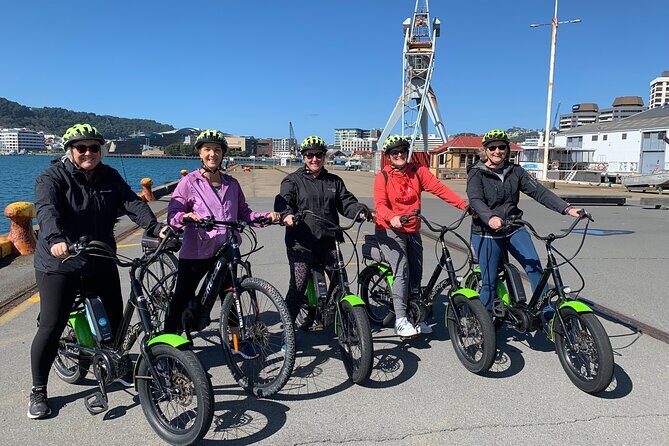 Wellington Self-Guided Electric Bike Tour - E-bikes in Wellington: easy hills and big views