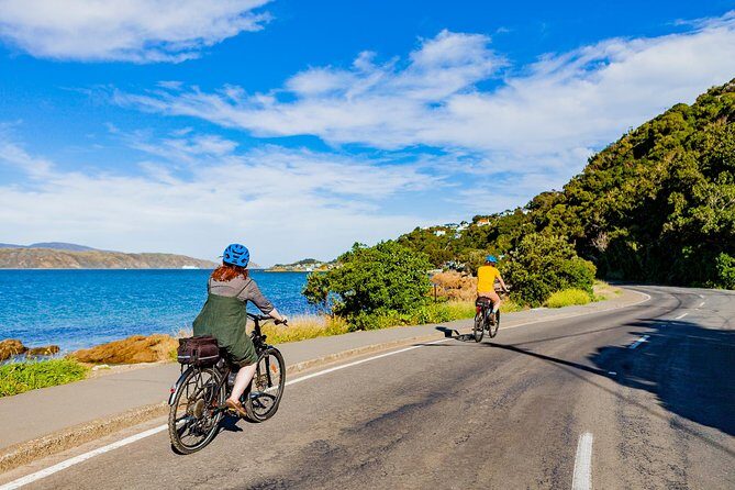 Wellington Self-Guided Electric Bike Tour - Price and value: why $52.75 can actually feel like a bargain