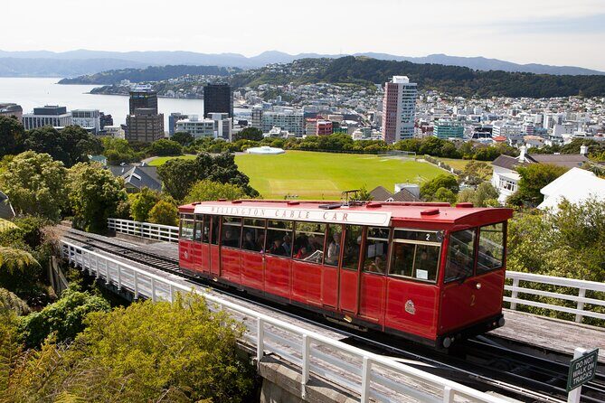 Wellington Shore Excursion City Sightseeing Tour - Key Highlights Worth Your Focus