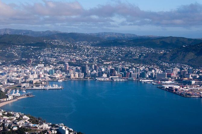 Wellington Shore Excursion City Sightseeing Tour - Port Transfers First: Getting from Your Ship to the Coach