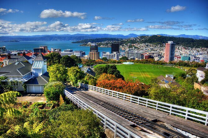 Wellington Shore Excursion City Sightseeing Tour - Passing the Coast: Lyall Bay Views and the South Island Check