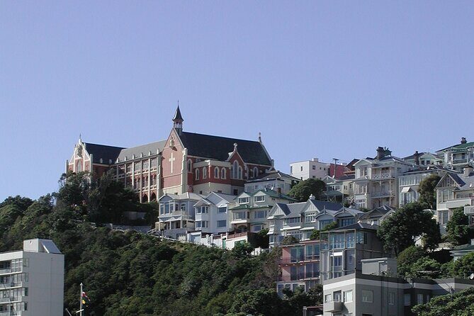 Wellington Shore Excursion City Sightseeing Tour - The Real Time Question: When 3 Hours Turns into More