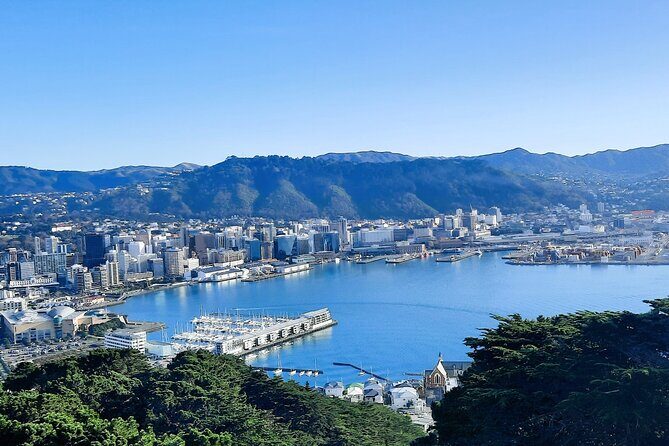 Wellington Shore Excursion: From Cave to Coast Highlights Private Tour - Private Pickup That Actually Works on Cruise Day