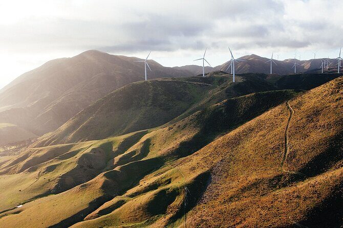 Wellington South Coast Discovery Helicopter Flight - How Headsets and a Pro Pilot Change the Whole Experience