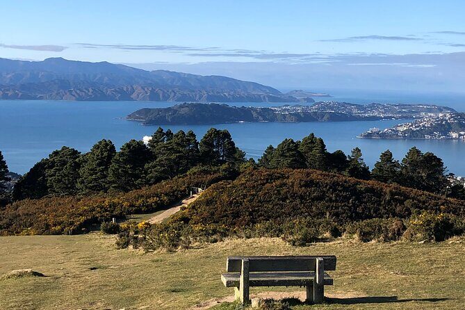 Wellington: Wild Skyline Guided Hiking Tour, Transfers + Lunch - Key highlights before you lace up