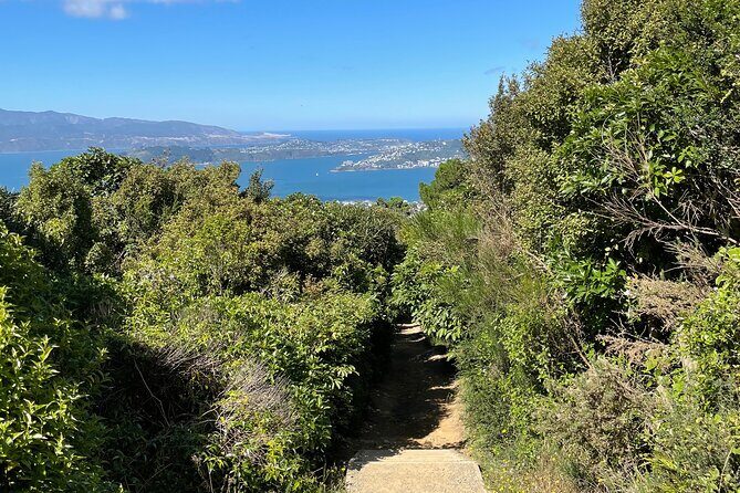 Wellington: Wild Skyline Guided Hiking Tour, Transfers + Lunch - Skyline Views Without the Planning Headache