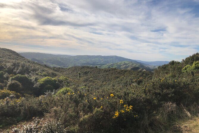 Wellington: Wild Skyline Guided Hiking Tour, Transfers + Lunch - Lunch, Snacks, Water, and the Coffee Stop You’ll Thank Yourself For