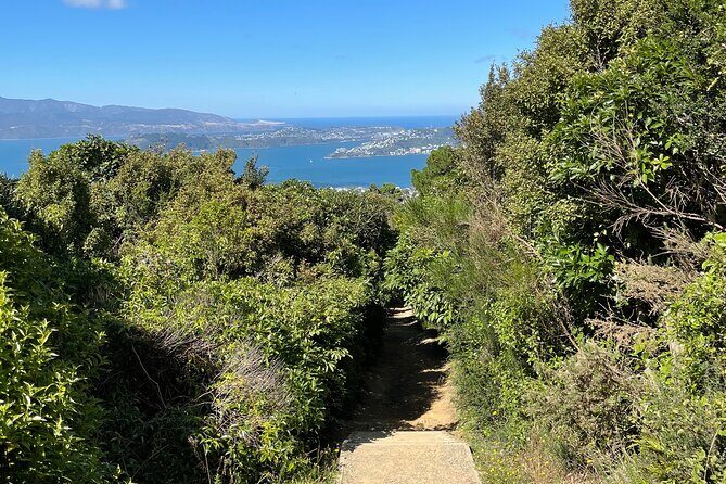 Wellington: Wild Skyline Guided Hiking Tour, Transfers + Lunch - Views That Span Ranges: What You’re Looking For on Each Stretch