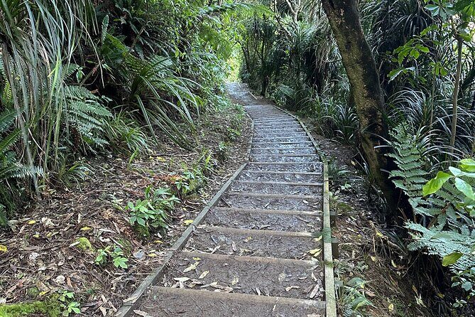 Wellington: Wild Skyline Guided Hiking Tour, Transfers + Lunch - Guide Hosting: Why Small-Group Conversations Matter