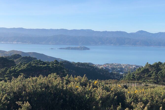 Wellington: Wild Skyline Guided Hiking Tour, Transfers + Lunch - Price and Value: Is $154.52 a Good Deal?