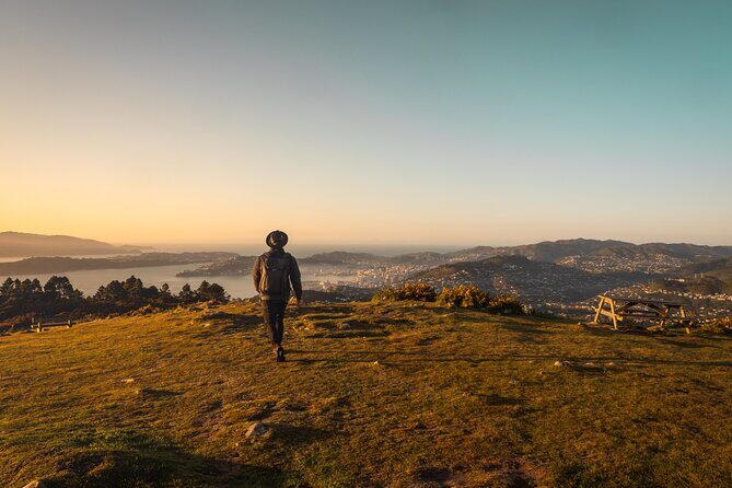 Wellington: Wild Skyline Guided Hiking Tour, Transfers + Lunch - The 11.6 km Makara Road to Khandallah Walk: What It Feels Like