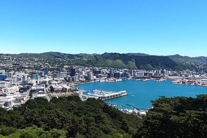 Wellington's Original LOTR Experience - includes Weta and Lunch - Weta Workshop and the Weta Cave: what you’ll learn, and the photo rule