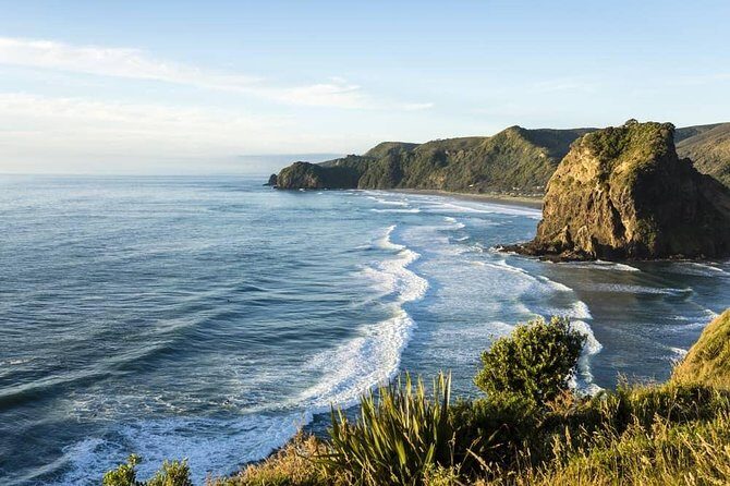 West Coast Discovery - Piha Beach or Muriwai Beach from Auckland - Key highlights you’ll actually care about