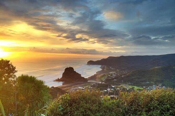 West Coast Discovery Piha Beach Private Tour - Winery Wine Tasting at an Older New Zealand Spot (Plus Lunch)
