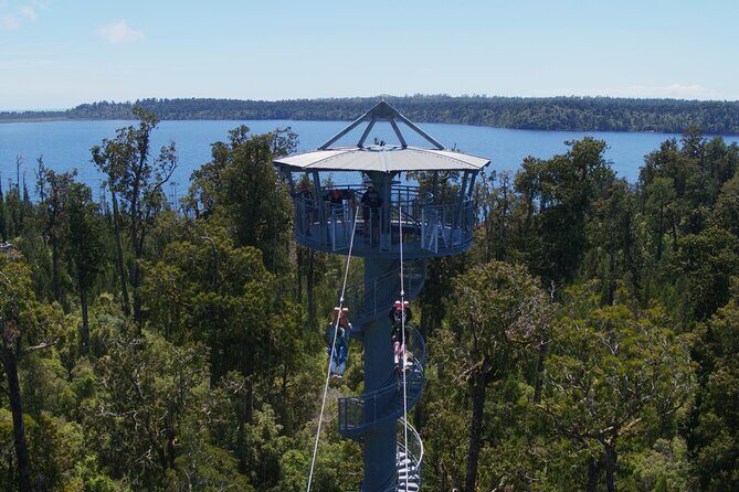 West Coast Tower Zipline & Treetop Walk Combo - Key things to know before you go