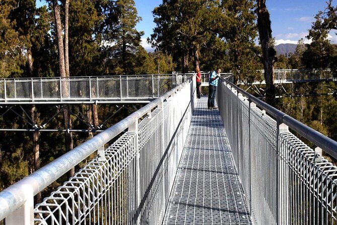 West Coast Tower Zipline & Treetop Walk Combo - A Private Combo That Feels Like Two Attractions in One