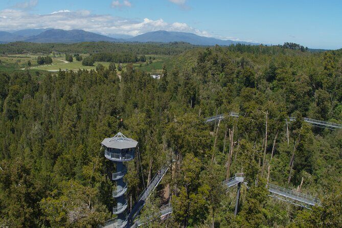 West Coast Tower Zipline & Treetop Walk Combo - Climbing the Spiral Tower: 106 Steps With a Purpose
