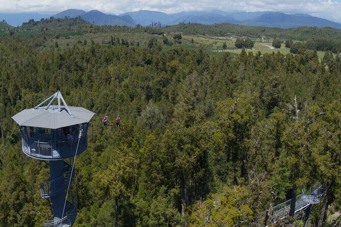 West Coast Tower Zipline & Treetop Walk Combo - The 45m Tandem Zipline: How to Get the Most Out of the Flight