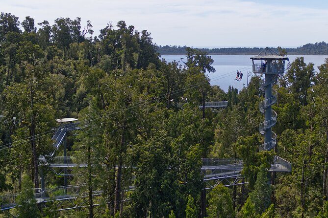 West Coast Tower Zipline & Treetop Walk Combo - What Happens After: Post-Zip Café Time to Cool Down