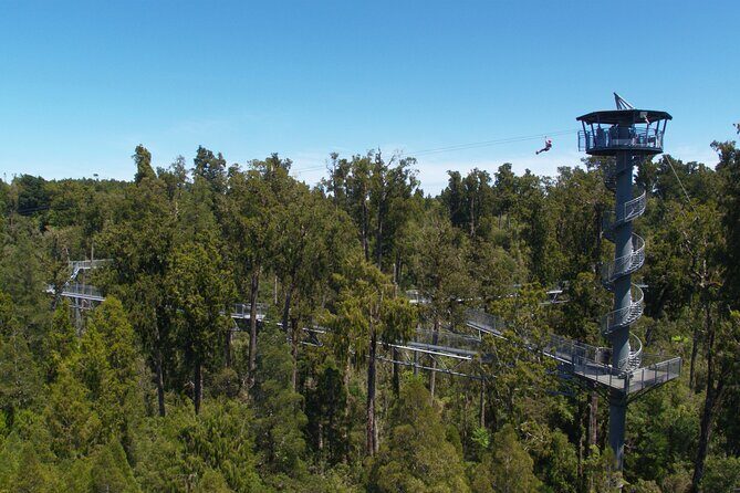 West Coast Tower Zipline & Treetop Walk Combo - Private Guide Attention: Why It Matters on the West Coast