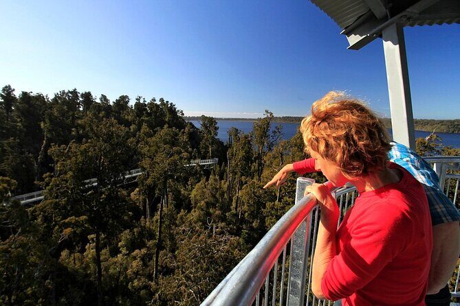 West Coast Tower Zipline & Treetop Walk Combo - The Rimu Rainforest Treetop Walk: Easy Steps, Big Feel-Good Views