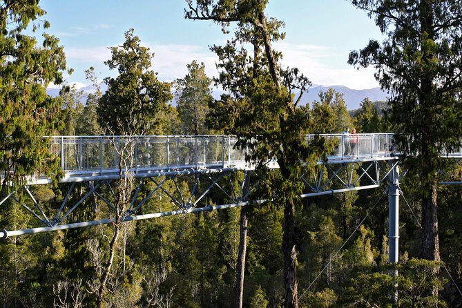 West Coast Treetop Walk - Key things to know before you go