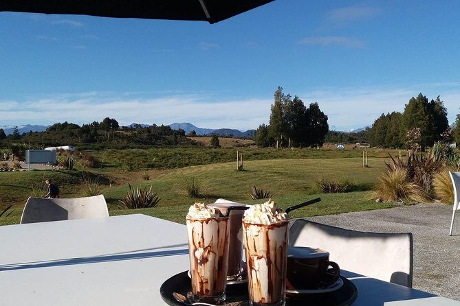 West Coast Treetop Walk - Café included: how to make the visit feel complete