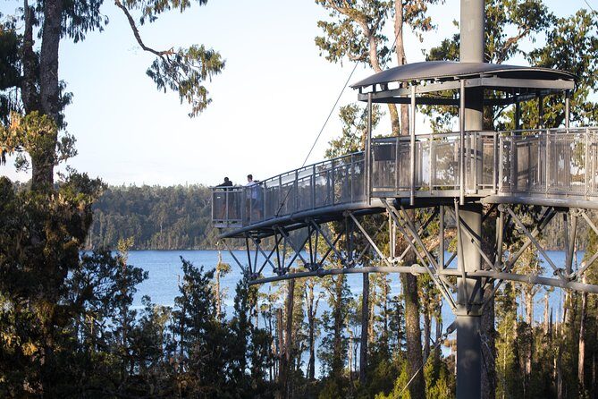 West Coast Treetop Walk - Getting there from Hokitika: easy highway-day pacing