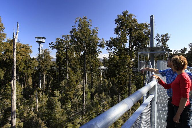 West Coast Treetop Walk - The tower and the day-the-weather-helps factor