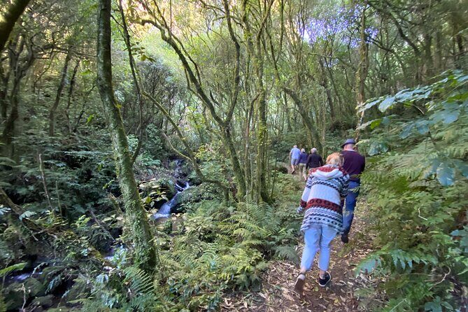 Western Bays Sightseeing Tour from Kinloch Lake Taupo - Why the Western Bays boat route beats the usual Lake Taupo stops