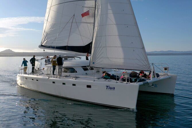 Western Bays Sightseeing Tour from Kinloch Lake Taupo - Weather and timing: why this tour depends on conditions