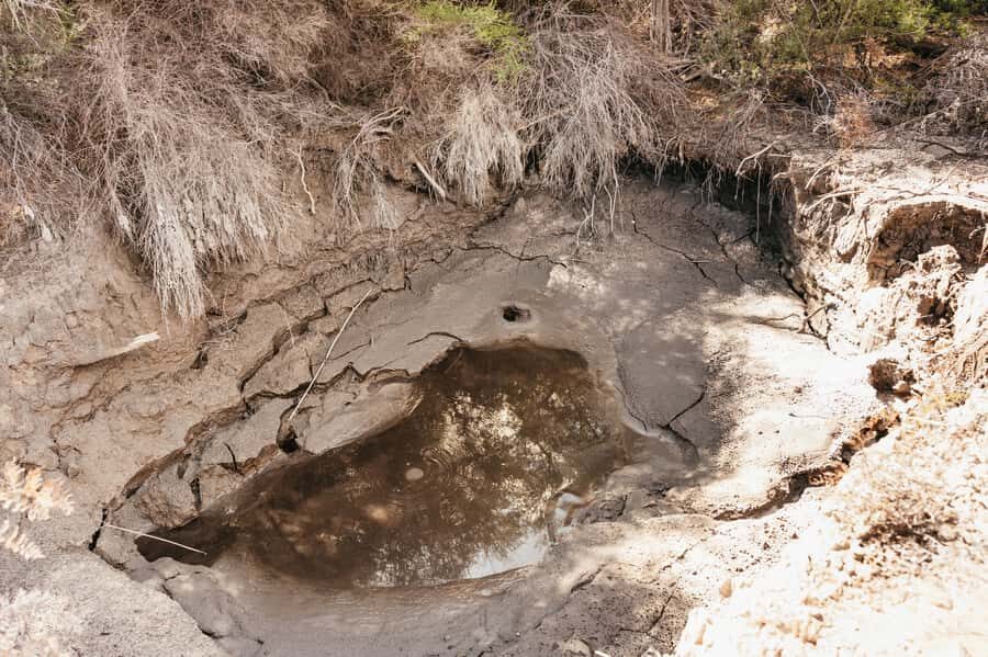 Whakarewarewa: Self-Guided Geothermal Trails - What kind of traveler this suits best