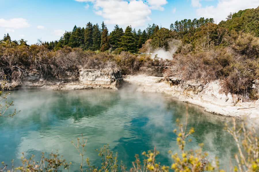 Whakarewarewa: Self-Guided Geothermal Trails - Starting at Geyser Café: your low-stress entry point