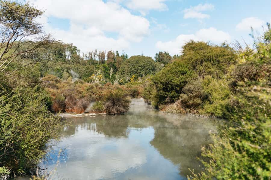 Whakarewarewa: Self-Guided Geothermal Trails - Timing: when to visit between 9:00 AM and 3:00 PM