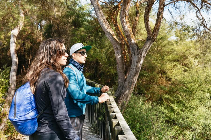 Whakarewarewa: Self-Guided Geothermal Trails - Walking past the Rahui area: what to look for as you enter