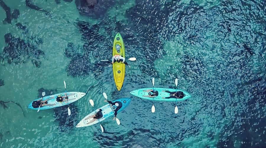 Whangamata: Donut Island Guided Kayaking Experience - Whangamata to Donut Island: what this 2-hour paddle really delivers