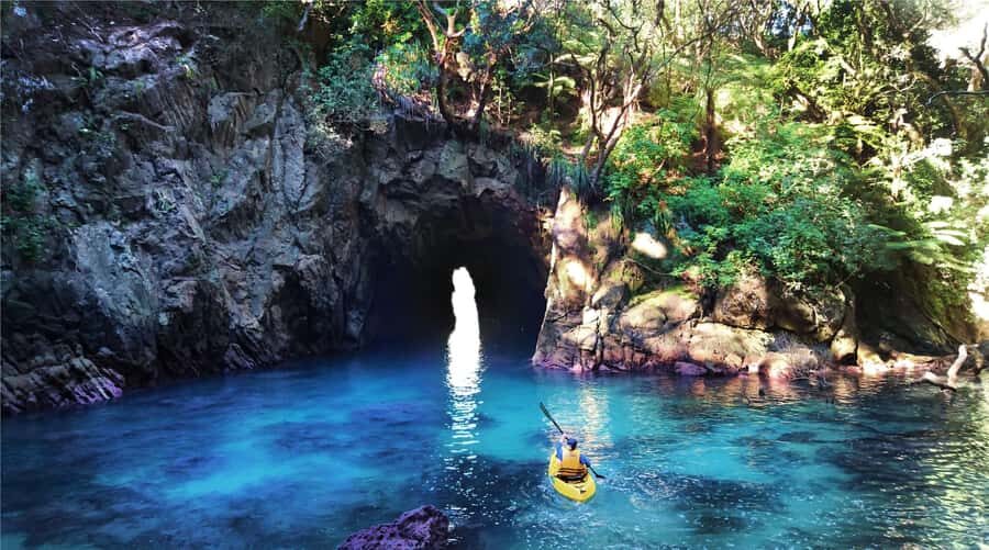 Whangamata: Donut Island Guided Kayaking Experience - The wildlife sanctuary rules: why conservation is part of the fun