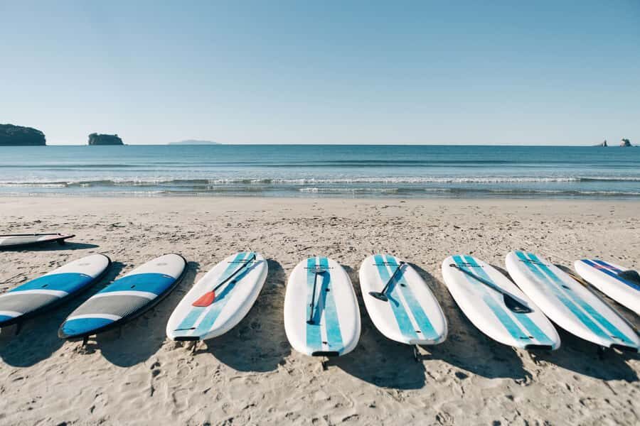 Whangamata: Donut Island Guided Kayaking Experience - Should you book the Whangamata Donut Island kayak tour?