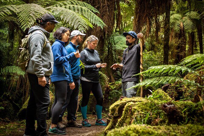Whirinaki Forest Footsteps: Māori Guided Tour, Picnic & Transfer - Price and value: is $170.66 worth your time?