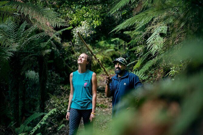 Whirinaki Forest Footsteps: Māori Guided Tour, Picnic & Transfer - Rotorua pickup and the rhythm of a 7-hour day