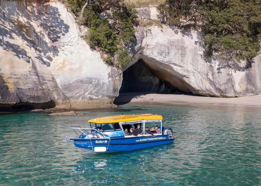 Whitianga: 2-Hour Glass Bottom Boat Cathedral Cove Tour - Key Things I’d Focus On