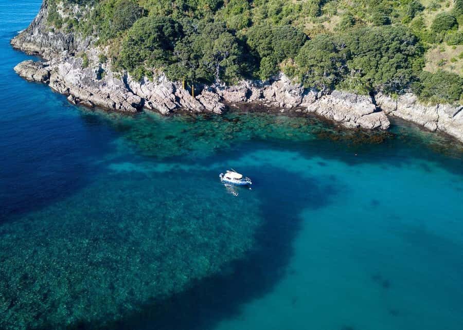Whitianga: 2-Hour Glass Bottom Boat Cathedral Cove Tour - Sea Caves, Rock Pinnacles, and the Stops That Matter