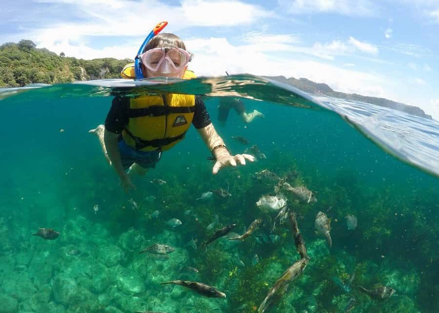 Whitianga: 2-Hour Glass Bottom Boat Cathedral Cove Tour - Snorkel or Swim Near the End, Plus Wildlife on the Horizon