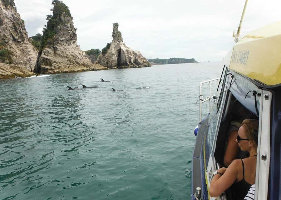Whitianga: 2-Hour Glass Bottom Boat Cathedral Cove Tour - Final Thoughts: Should You Book This Whitianga Tour?