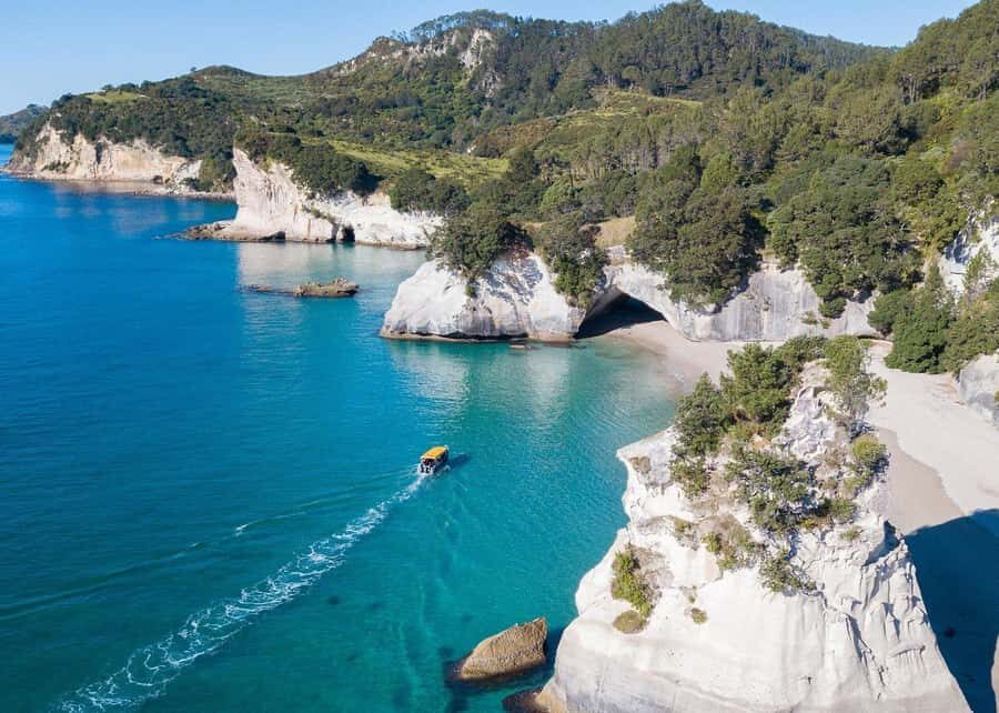 Whitianga: 2-Hour Glass Bottom Boat Cathedral Cove Tour - From Whitianga Wharf to Shakespeares Cliff and Cooks Beach Blowhole