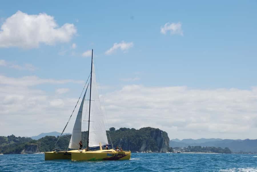 Whitianga: Sailing Trip to Cathedral Cove - The Marine Reserve: Swim or Snorkel When Conditions Let You