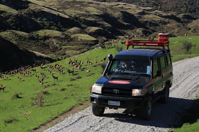 Wild Hills Off Road Safari - Who this tour fits best (and who should pick something else)